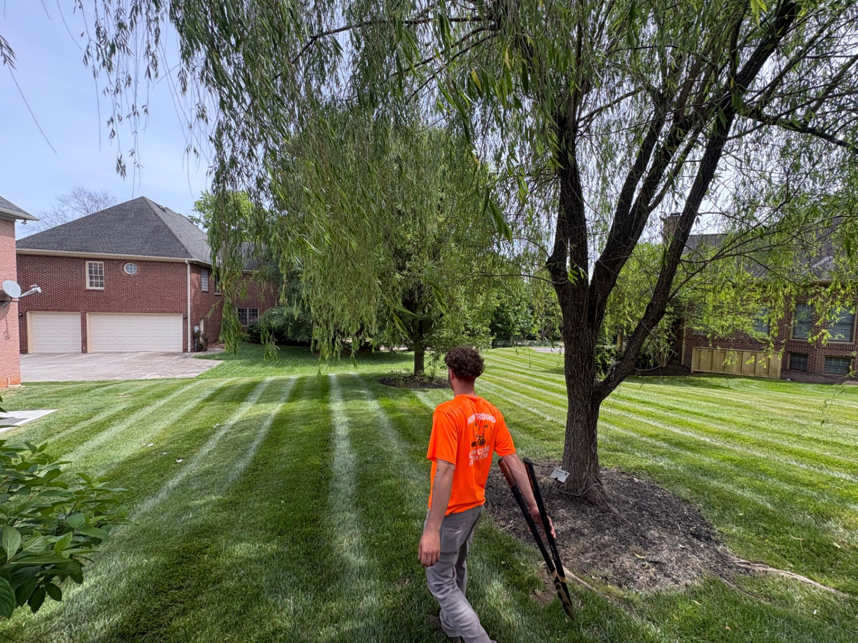 New Ground Lawn Care work in West Knoxville